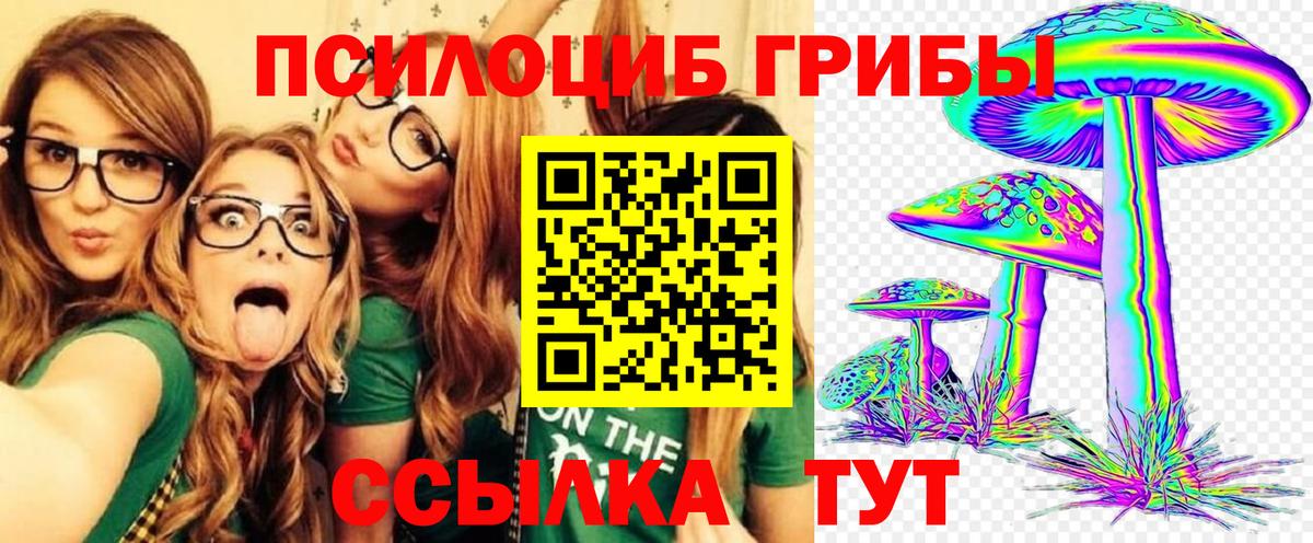 хочу наркоту  Галлюциногенные грибы ЛСД  Вход с VPN  Волгоград  Галлюциногенные грибы Magic Shrooms 