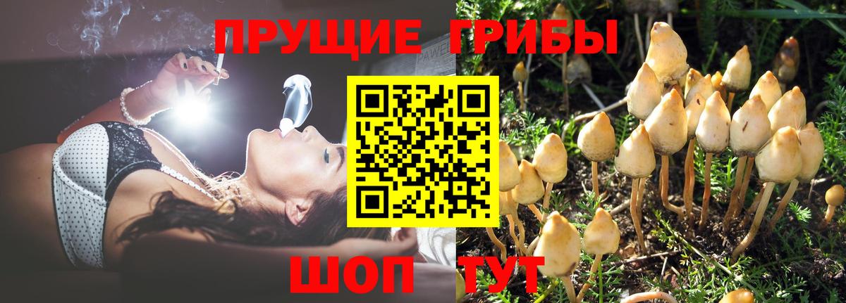 Галлюциногенные грибы MAGIC MUSHROOMS Волгоград
